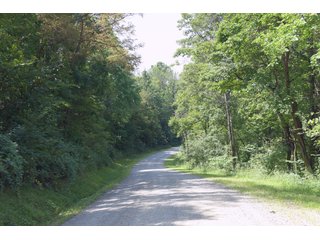 Tract 11 - Timberland & Farmland in Noble County, OH - LAND AUCTION - 12,200+/- ACRES OFFERED IN 65 TRACTS IN NOBLE COUNTY, OHIO